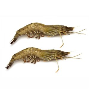 SHRIMPS BLACK TIGER 8/12 800 gr