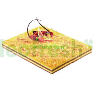 EXOTIC BLOCK 27X34CM 1.5KG