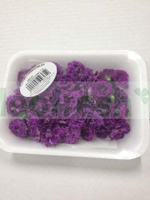 EDIBLE FLOWER OEILLET DES POETES