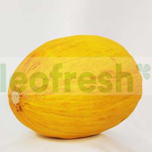 MELON YELLOW