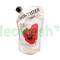 STRAWBERRY COULIS DOYPACK 1KG