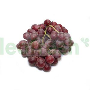 GRAPES RED GLOBE