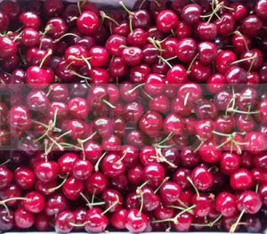 CHERRY + 28 -5 kg