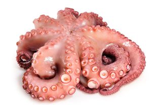 FROZEN OCTOPUS 4.5/5KG