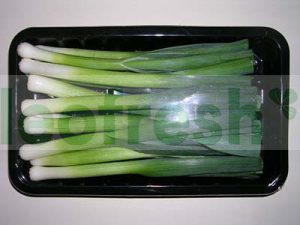 BABY LEEKS IN DISH