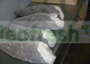 CHILEAN SEA BASS 5/6 KG