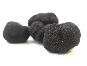 TRUFFLE TUBER MELANOSPORUM 8-20 GR