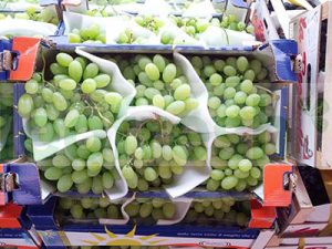 GRAPES WHITE