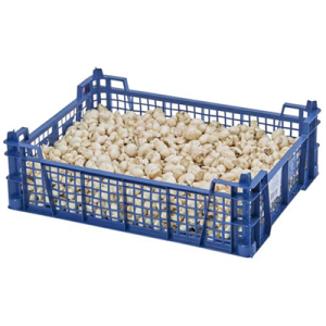 GREEK CHAMPIGNONS DE PARIS BABY