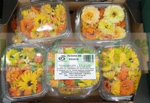 EDIBLE FLOWER SOUCIS