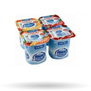 YOGURT FRUIT 48X125G