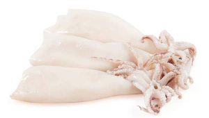 CLEANED SQUID "CHIPIRONES" 12-14