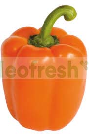 ORANGE PEPPER