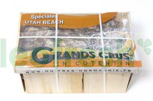 OYSTER UTAH BEACH N3 48 PCS