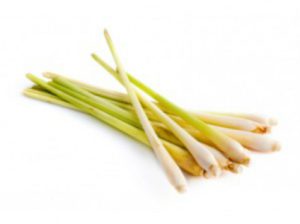 LEMONGRASS STICK