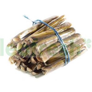 RAZOR CLAM GRO1618 CM