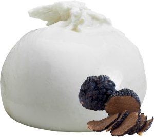 BURRATA WITH TRUFFLE