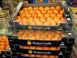 CLEMENTINE CAL 1- MANDARINE