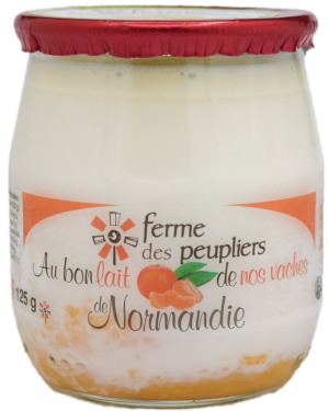 YOGHURT MANDARINE FERME PEUPLIER