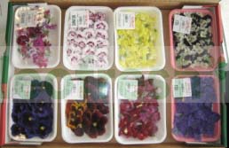 EDIBLE FLOWER MIXED X 8