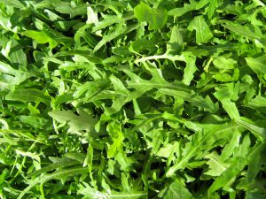 WILD ROQUETTE SALAD  ROCKET