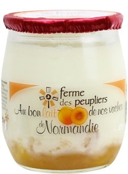 YOGHURT APRICOT FERME PEUPLIER