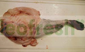 MONKFISH TAIL 1/2 ANE