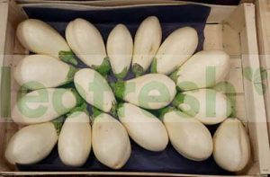 WHITE EGGPLANT