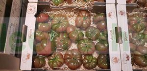 BLACK TOMATO CRIMEA