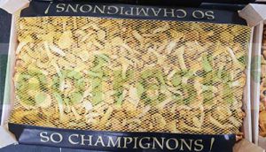 GIROLLE WILD MUSHROOM MEDIUM X 3 KG