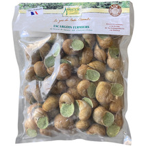 VERY LARGE FRENCH GREY SNAILS 4X12