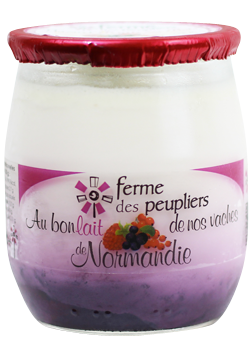 YOGHURT WILD BERRY FERME PEUPLIER
