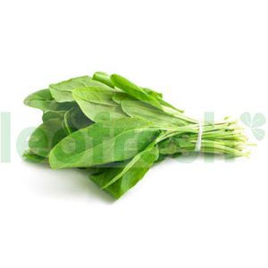 SORREL