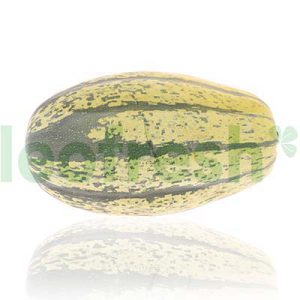 SPAGHETTI SQUASH
