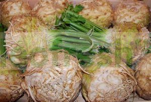 CELERIAC