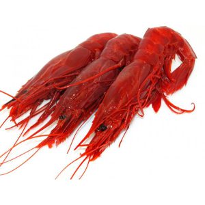 CREVETTE CARABINERO 9/12