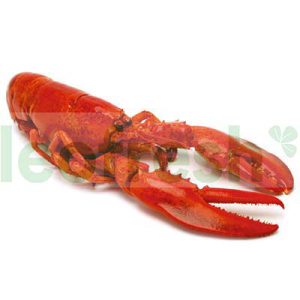 LOBSTER ORIGIN CANADA 400- 500GR FROZEN