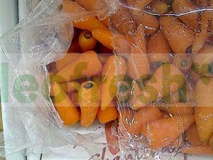 CARROT BABY CHANTENAY