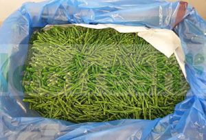 SAMPHIRE