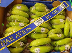 BANANA BABY FRECINETTE