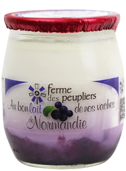 YOGHURT BLUEBERRY FERME PEUPLIER