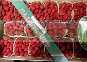 GARIGUETTE STRAWBERRY