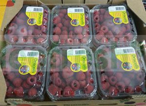 RASPBERRY 12 X 125 GR