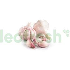 PINK GARLIC 6/8