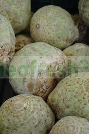 CELERIAC