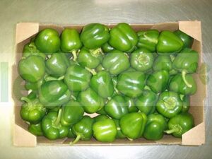 BABY GREEN PEPPER