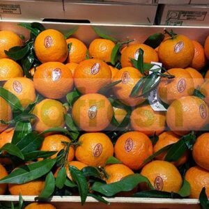 CLEMENTINE WITH FRESH LEAVES