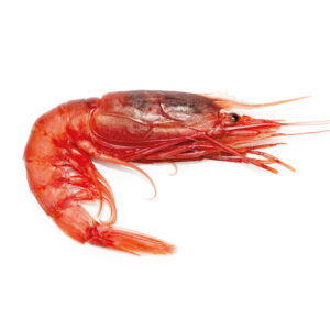 RED PRAWNS (GAMBAS ROSSO) 18-22