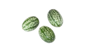 BABY CUCUMBER PEPQUINO