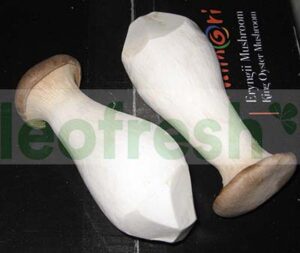 ERYNGI MUSHROOM -KING OYSTER X 2 KG